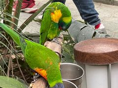 -南宫五洲植物乐园