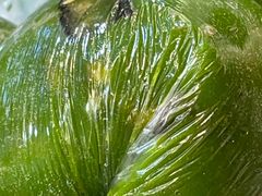 -喬家栅(汇联商厦店)