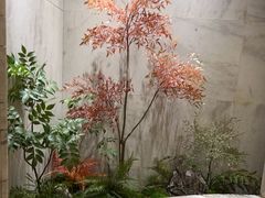 -阿五黄河大鲤鱼(纬三路店)