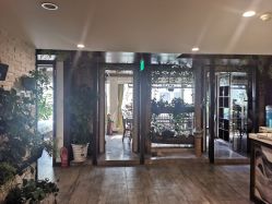 -青青一生美皮肤管理