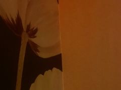 -东方棕泉·洗浴·按摩·美食国际水疗会所(福田店)