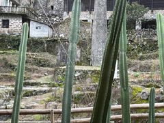 -MOJ coffee(瓯海泽雅水碓坑店)