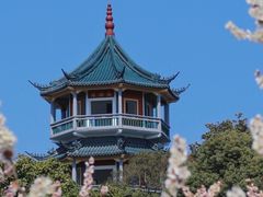 -无锡梅园公园