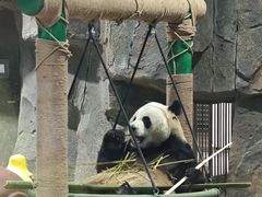 -栾川竹海野生动物园