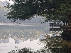 -三水森林公园