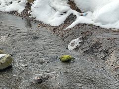 -峡谷浮石林景区