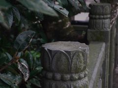 -普陀山风景区-佛顶山
