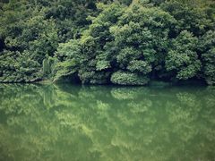 -白马涧龙池景区