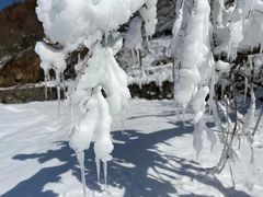 -少华山国家森林公园