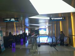 -上影国际影城(成都银泰LUXE店)