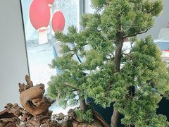 -顺峰(农展馆店)