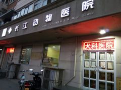 -瑞派长江宠物医院·猫科·外科·24小时夜护(谊城公寓分院)
