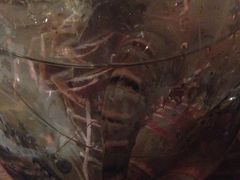 iphone_upload_pic-珍宝轩海鲜火锅(碧湖大厦店)