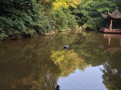 -敬亭山风景名胜区