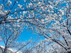 -龙美术馆西岸馆-停车场