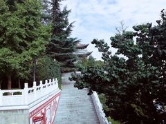 -白塔山公园