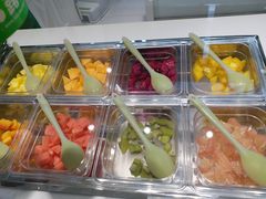配料-Salud撒露欧洲冻酸奶(北苑上品店)