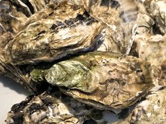 -映像威海·威海宴(威高广场店)