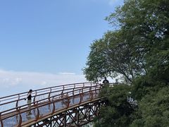 -少华山国家森林公园