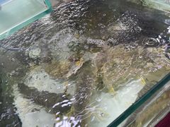 -班赞海鲜市场