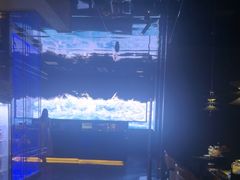 -墨锦轩·5D影院足浴·SPA(高新店)