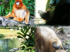 -青峰峡国家森林公园