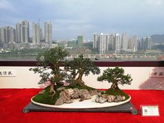 -重庆市江北嘴中央商务区中央公园