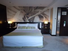 -国家会议中心大酒店