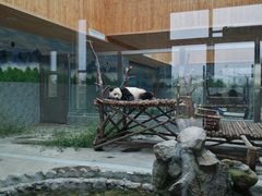 -西安秦岭野生动物园