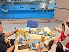 -帝企鹅自助餐厅•儿童岛•真企鹅(长隆企鹅酒店)