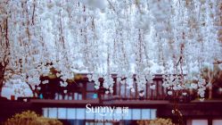 -青岛sunny喜铺婚礼策划(名汇国际店)