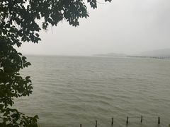 -湖畔居茶楼(湖滨店)