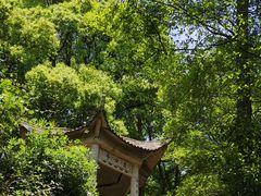 -平湖九龙山旅游度假区