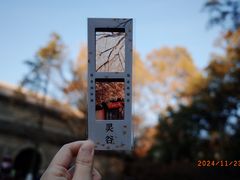 -灵谷景区