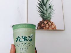 功夫椰子王-九里香奶茶果汁(碧湖店)