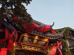 -小龙翻大江文化火锅(宽窄店)