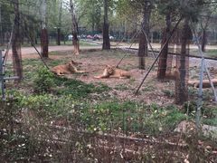 -秦皇岛野生动物园