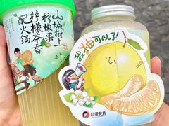 -初茶花月·重庆特产(大融城店)