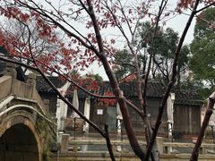 -惠山古镇·寄畅园