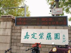 -嘉定紫藤园