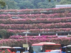 -深圳仙湖植物园