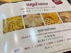 -大中鱼翅 Taitong Shark Fin