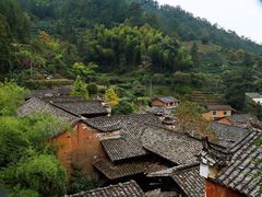 -杨家堂村