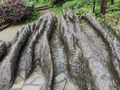 -梭布垭石林景区