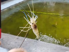 -光头佬室内钓虾场·烧烤·团建·亲子(中山八路店)