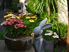 -小河盐帮·私家菜·烤鸭(三元桥·霄云路店)