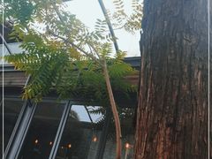 -zarah(鼓楼店)