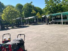 -上海海湾国家森林公园