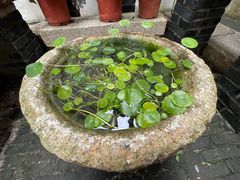 -月栖华明-云间草堂清茶馆(泗泾古镇店)