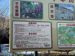 -龙口南山旅游景区